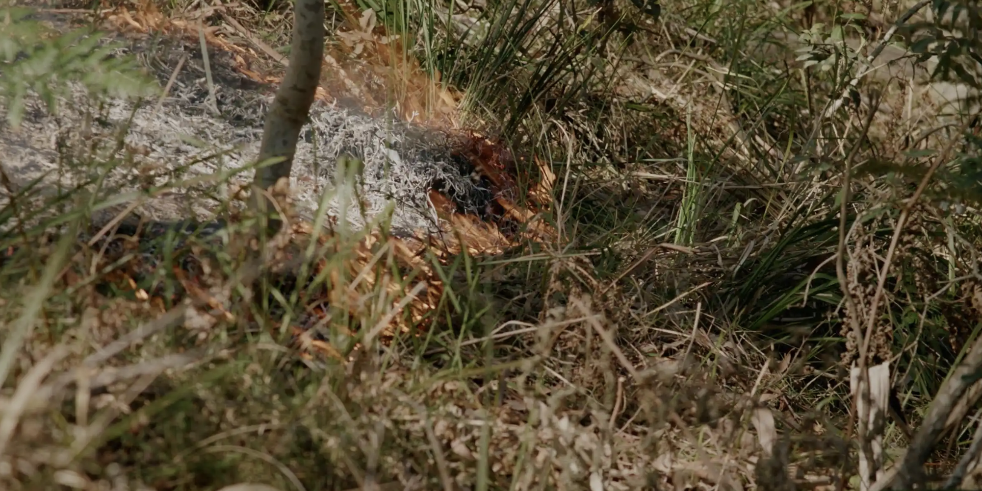 Movies on Mount Macedon - Yana Djamaga Ganji / Walk Good Fire