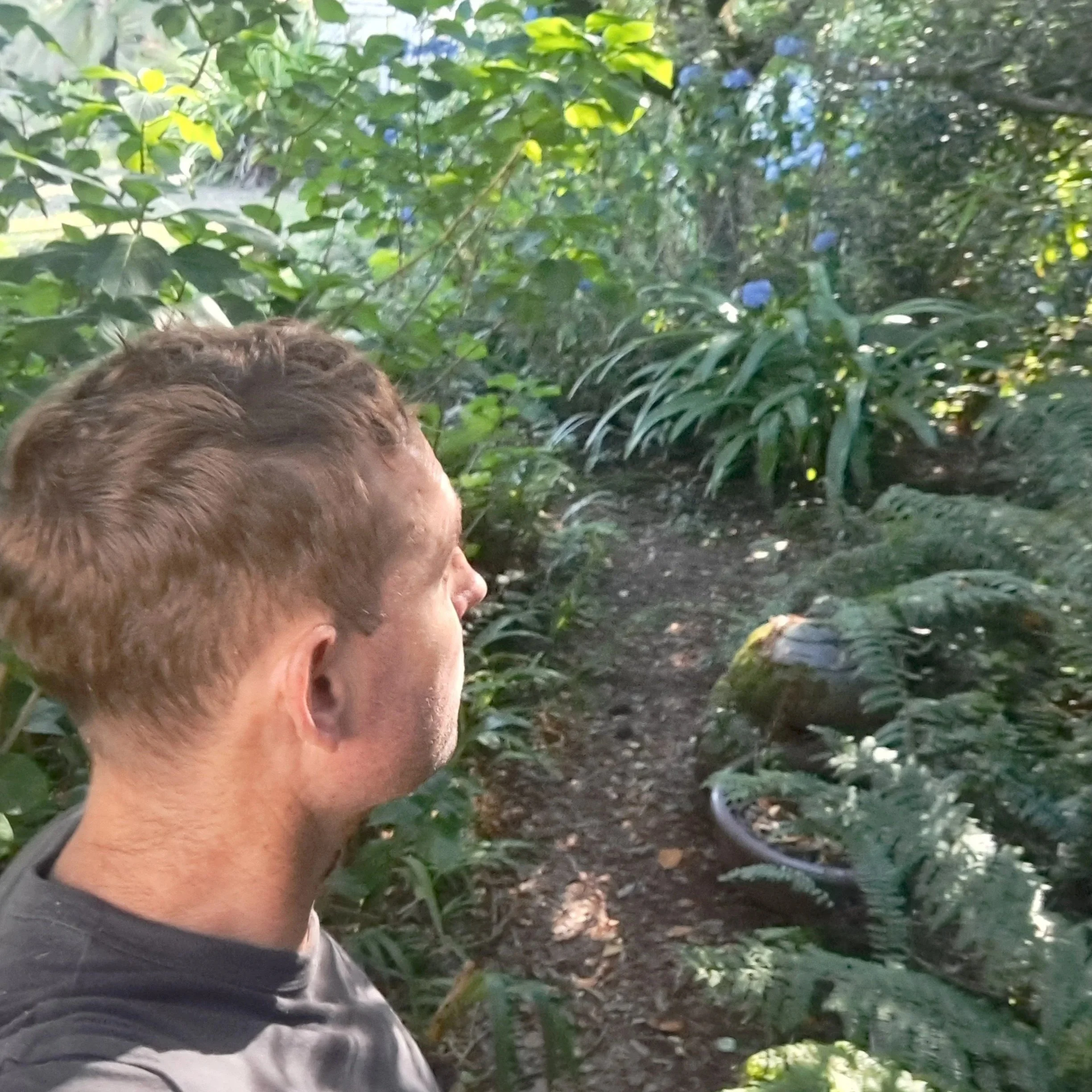 Tim Gentles: January 2026