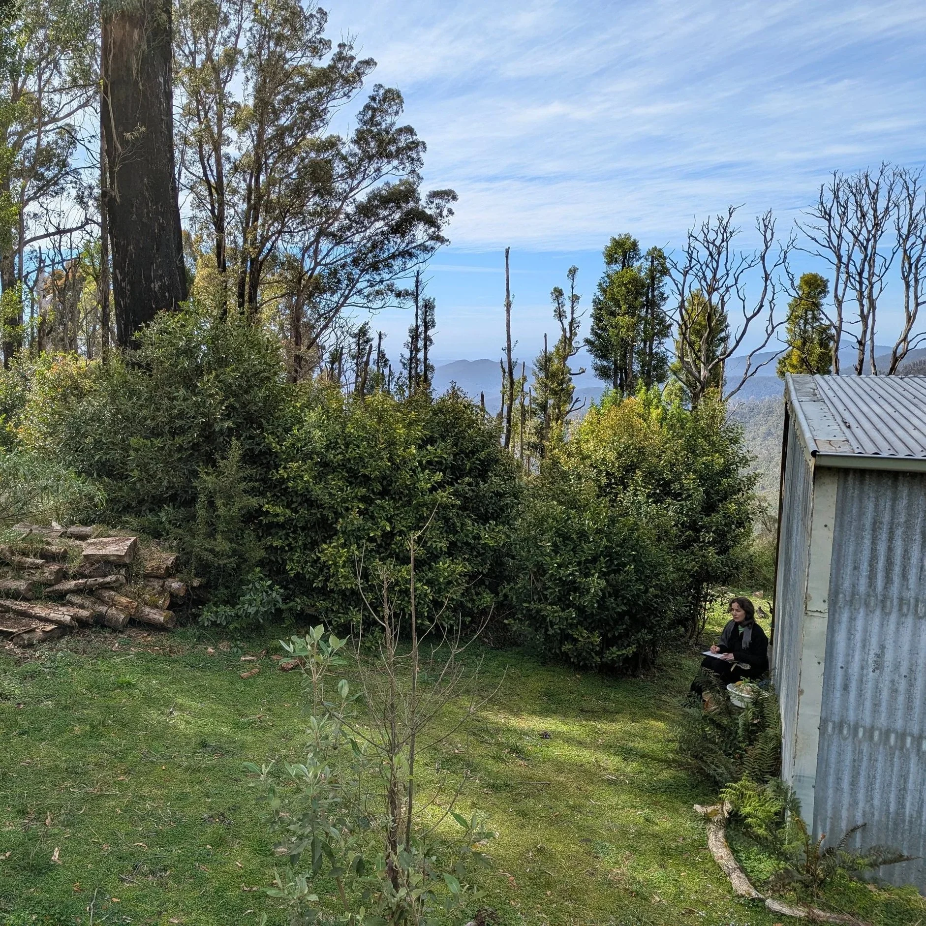 Julia McInerney: October 2025