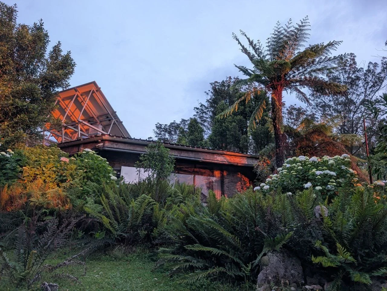 Sunrise on Plumwood (photo credit: Jerald Lim, 2025).