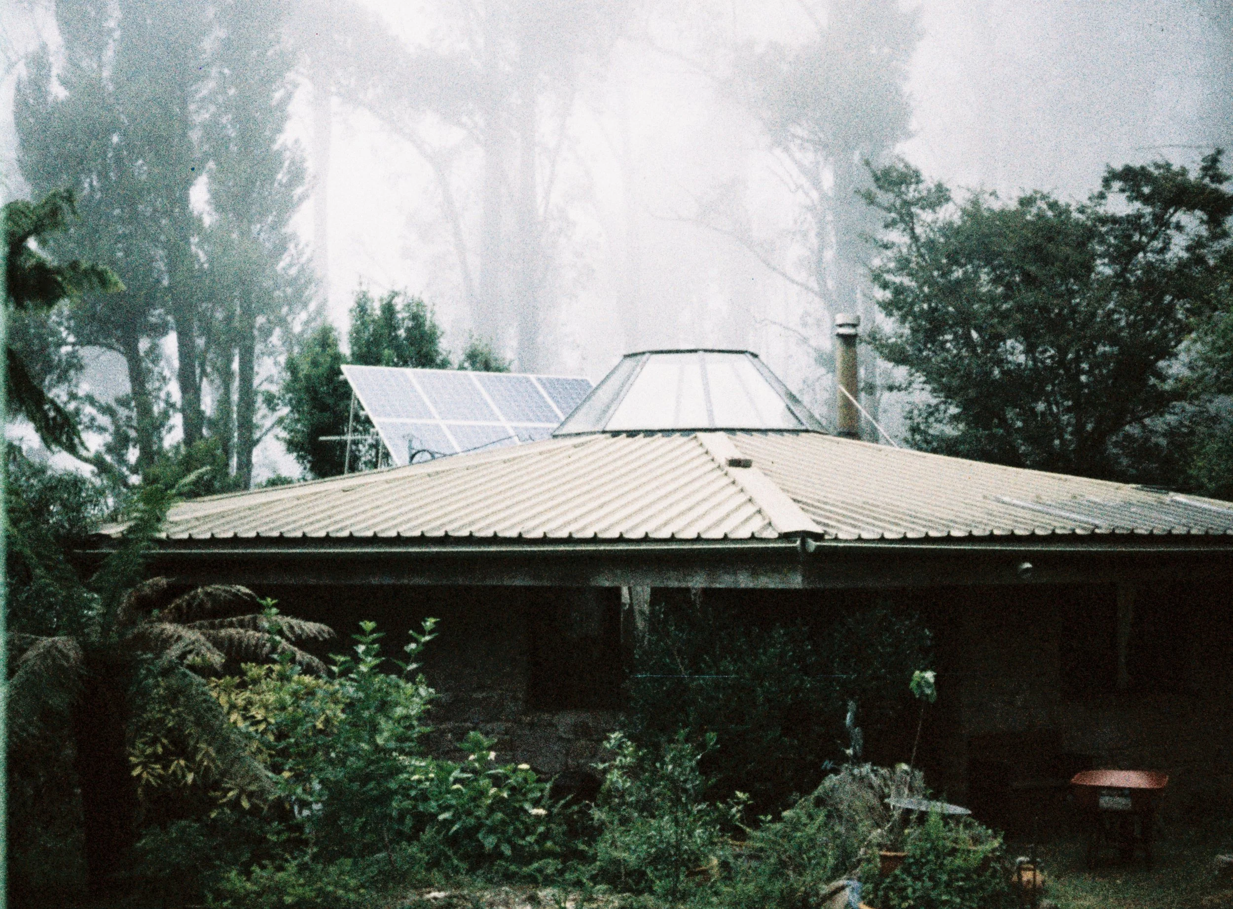 Plumwood house (Tim Gentles, 2026)