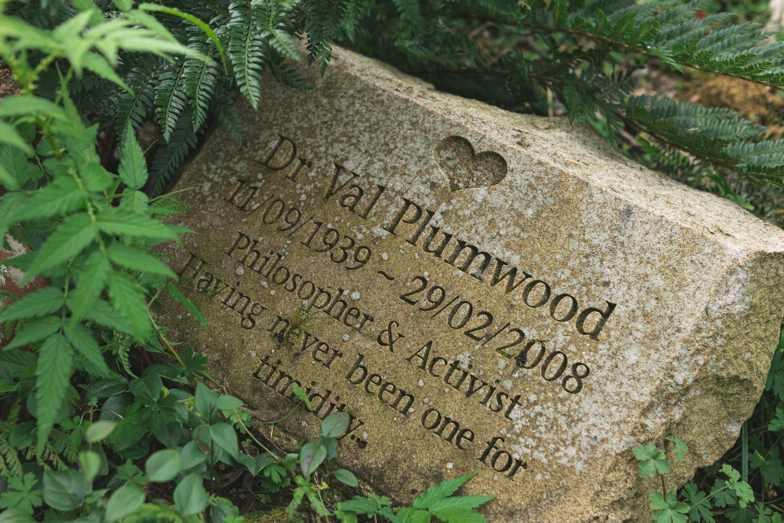 Plumwoods V1-3.jpg