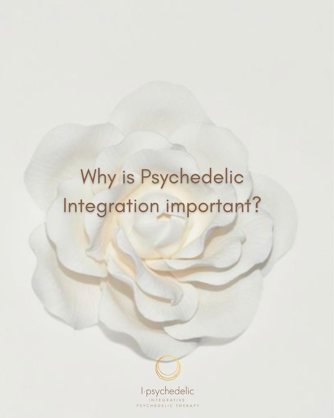 Click the link in bio for our website and YouTube for more information on why psychedelics are so important..