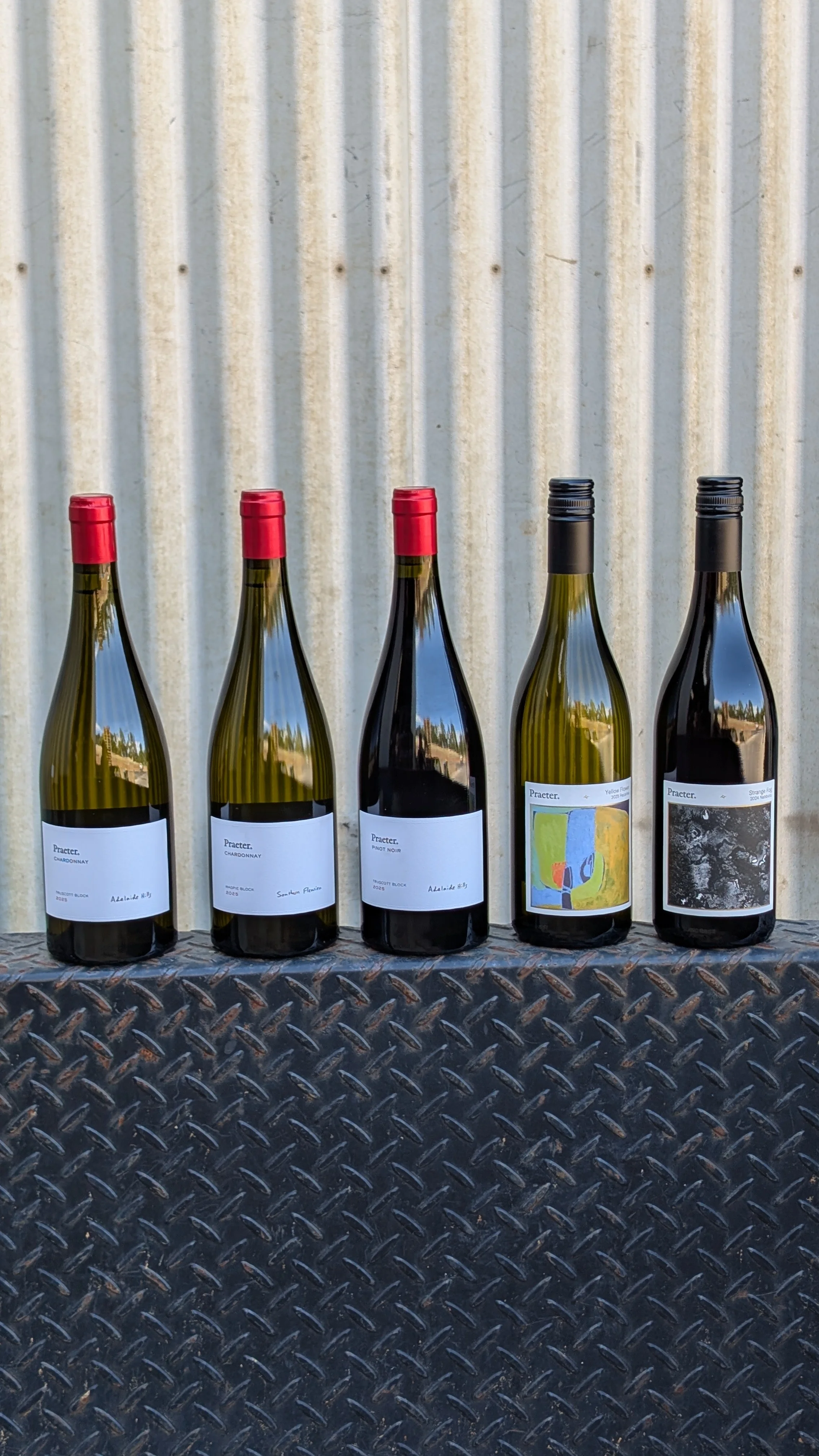 Current Release Mixed Dozen