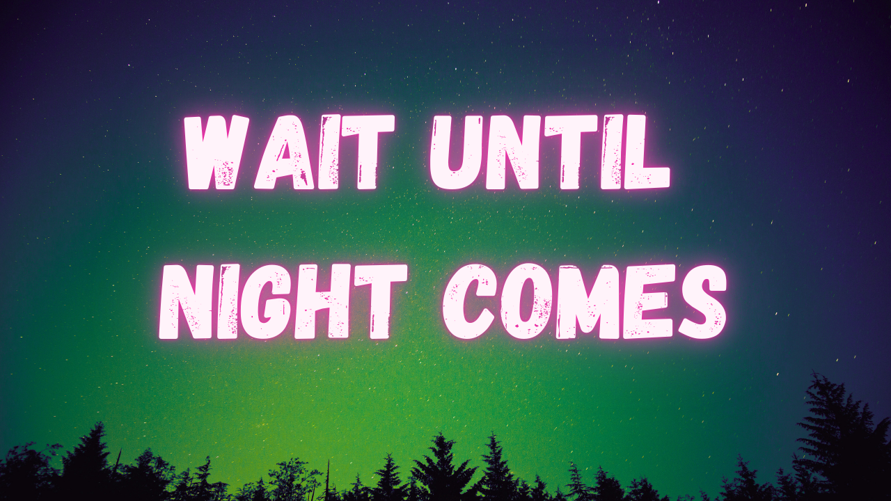 Wait Until Night Comes