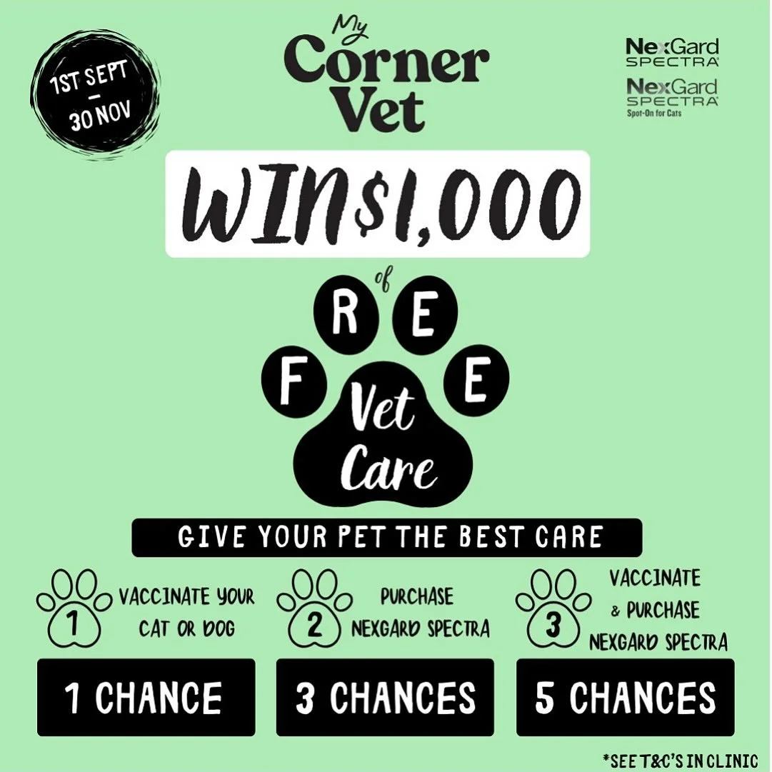 β¨ WIN $1,000 of FREE veterinary care at My Corner Vet! 
Keeping your pet healthy could win you BIG! πΎπ€©
Here’s how to enter:
β
 Vaccinate your dog or cat = 1 entry
β
 Purchase NexGard SPECTRA Dog or Cat = 3 entries
β
 Do BOTH at the same time =