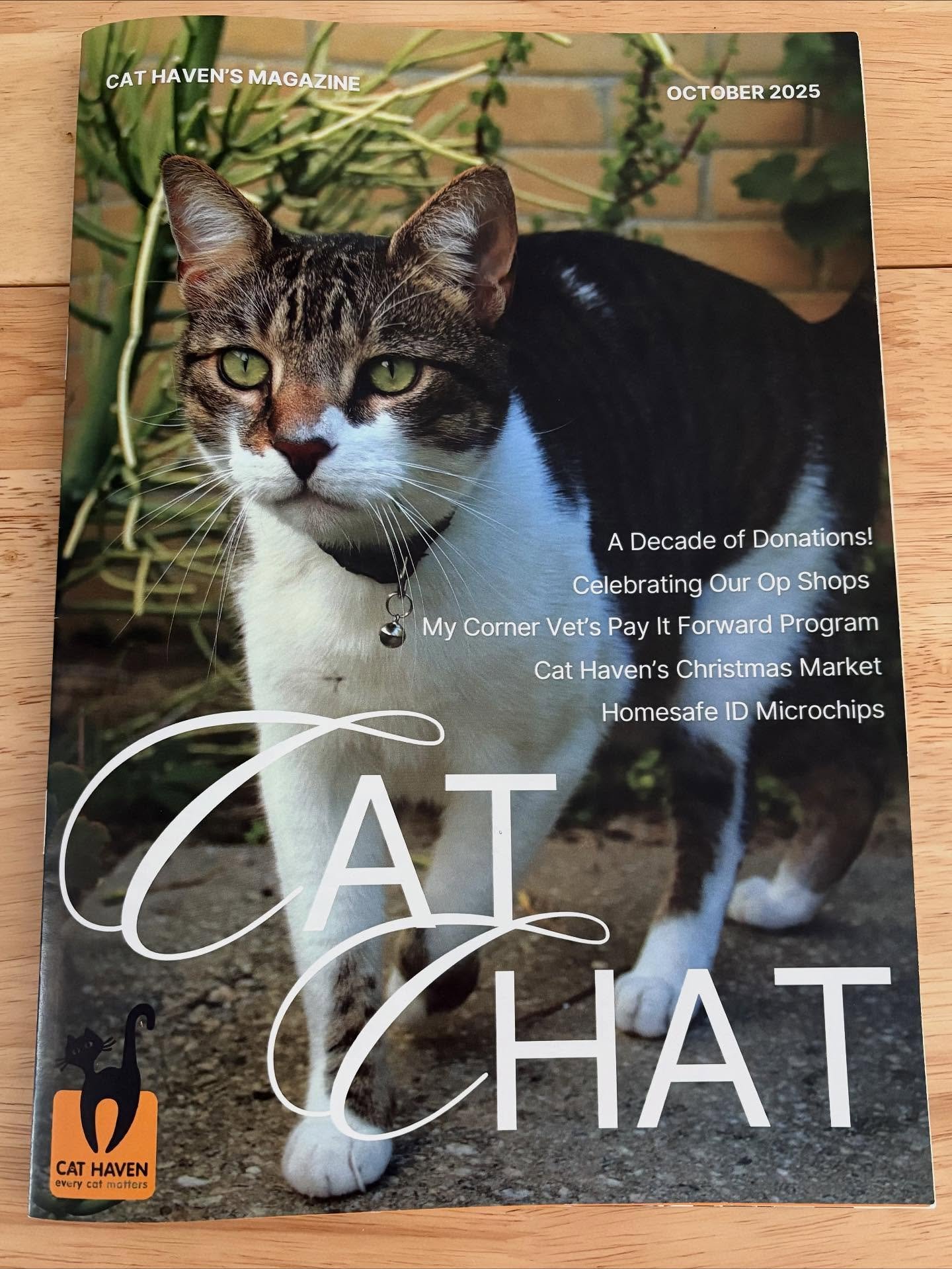 Always proud to support @cathavenau and their amazing work giving cats and kittens a second chance πΎβ€οΈ #MyCornerVet #CatHaven