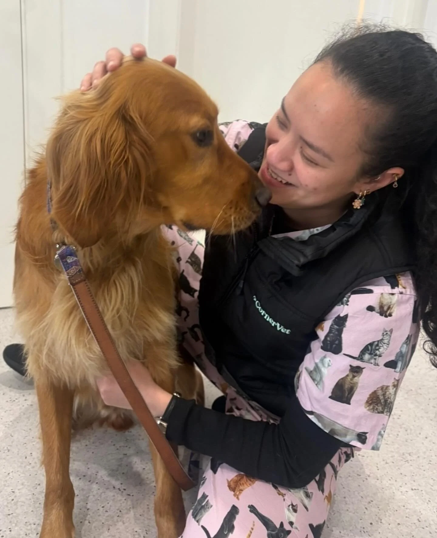 Come say hi to our Head Vet, Dr Courtney, and Head Vet Nurse, Kim, at the Shenton Park Dogs’ Refuge Open Home this Saturday and Sunday πΎ
We’ll be there from 10:30 am - 2 pm at the My Corner Vet stand - pop by for a chat and some pats! π