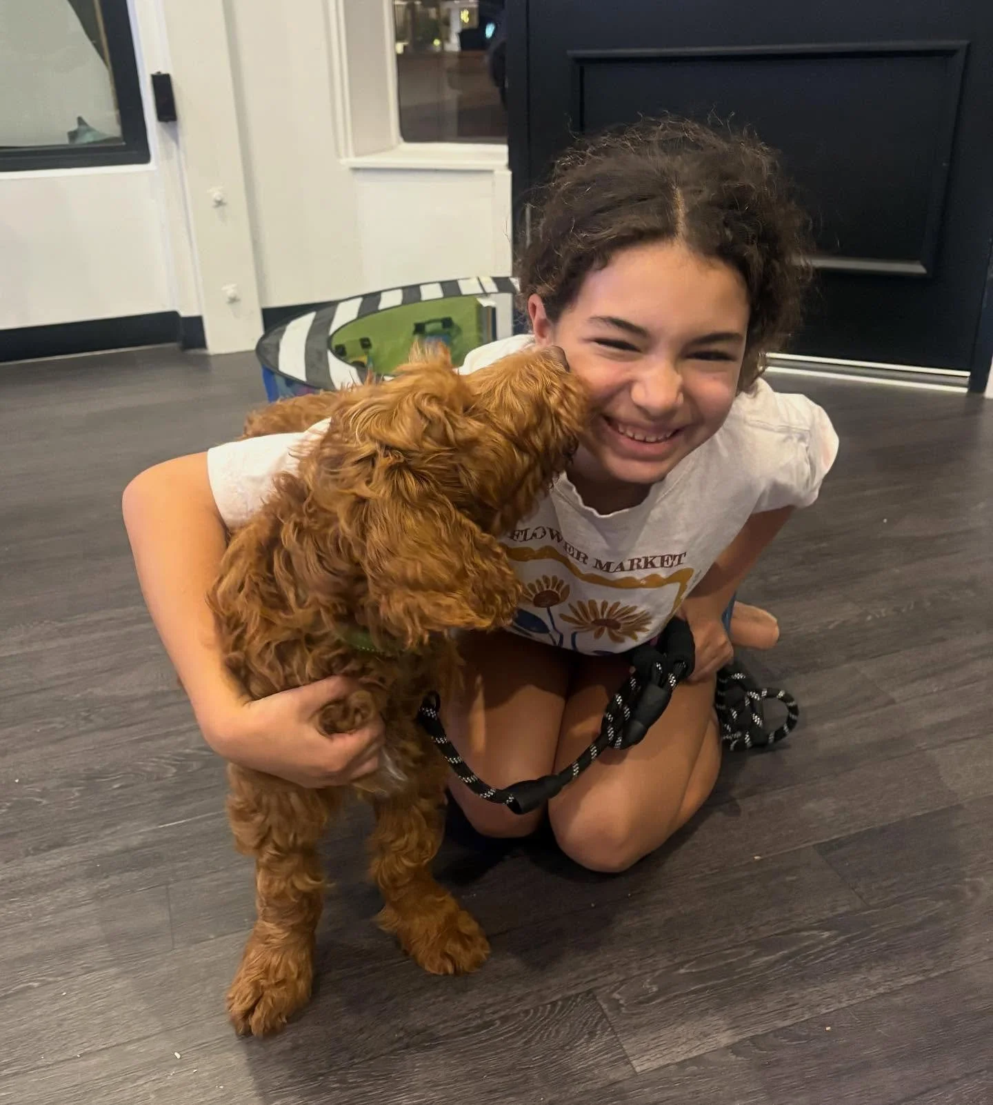 🐾 Puppy Preschool! Early socialisation helps pups grow into happy, confident dogs 🙌🏻

Contact us to book your spot in the next session or to find out more!