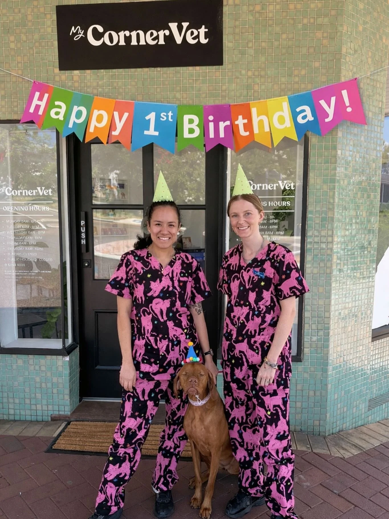 One year of caring for our corner of the community.
We&rsquo;re proud to be celebrating My Corner Vet&rsquo;s 1st birthday this month! 🎉

In our first year, we&rsquo;ve welcomed 1,222 local pets through our doors and on top of that, we&rsquo;ve supp