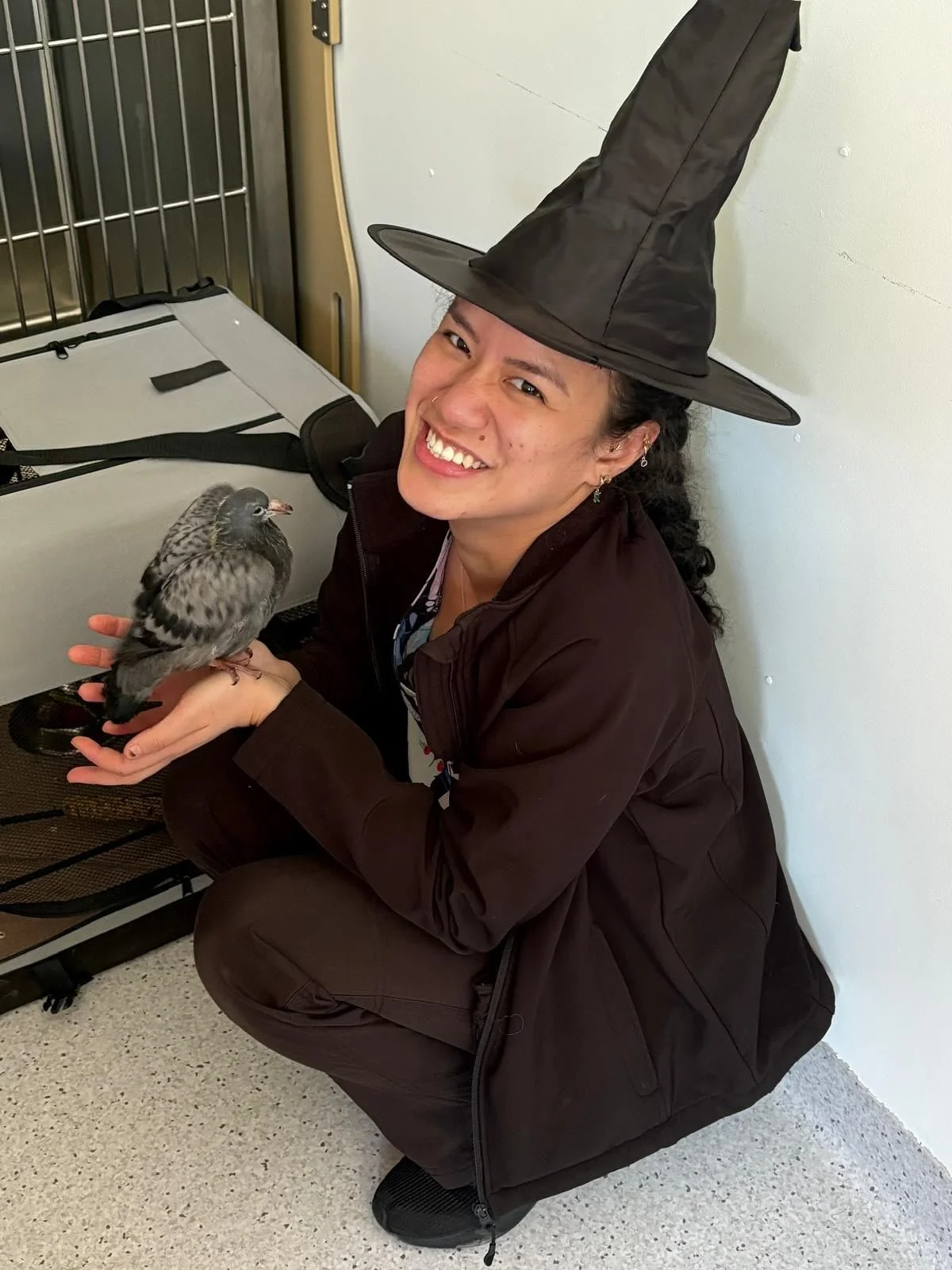 Trick or Treat 👻 We hope you all enjoyed your Halloween! 🤍 @mycornervet