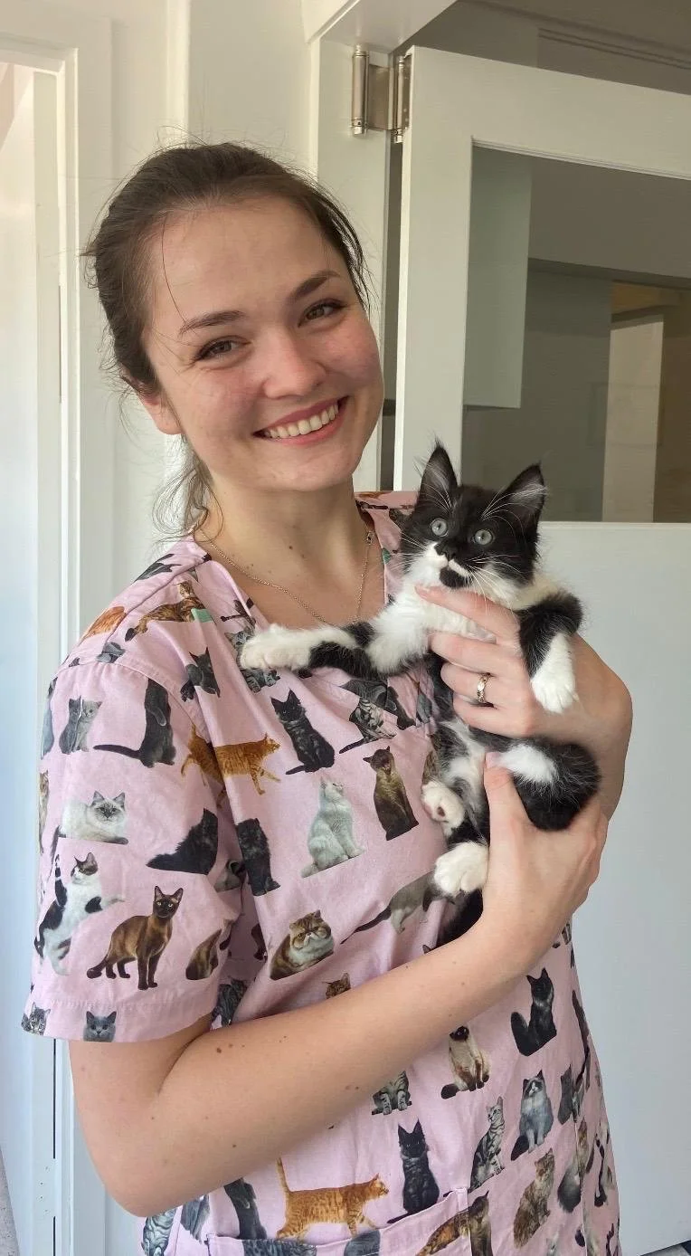 Katle, vet nurse at My Corner Vet Nedlands, holding a black and white kitten