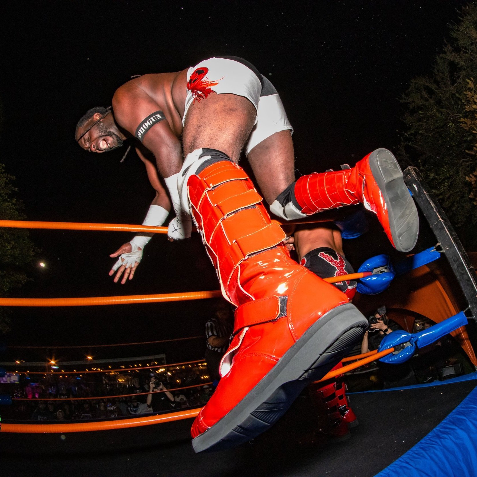 Professional Wrestling Action Shots