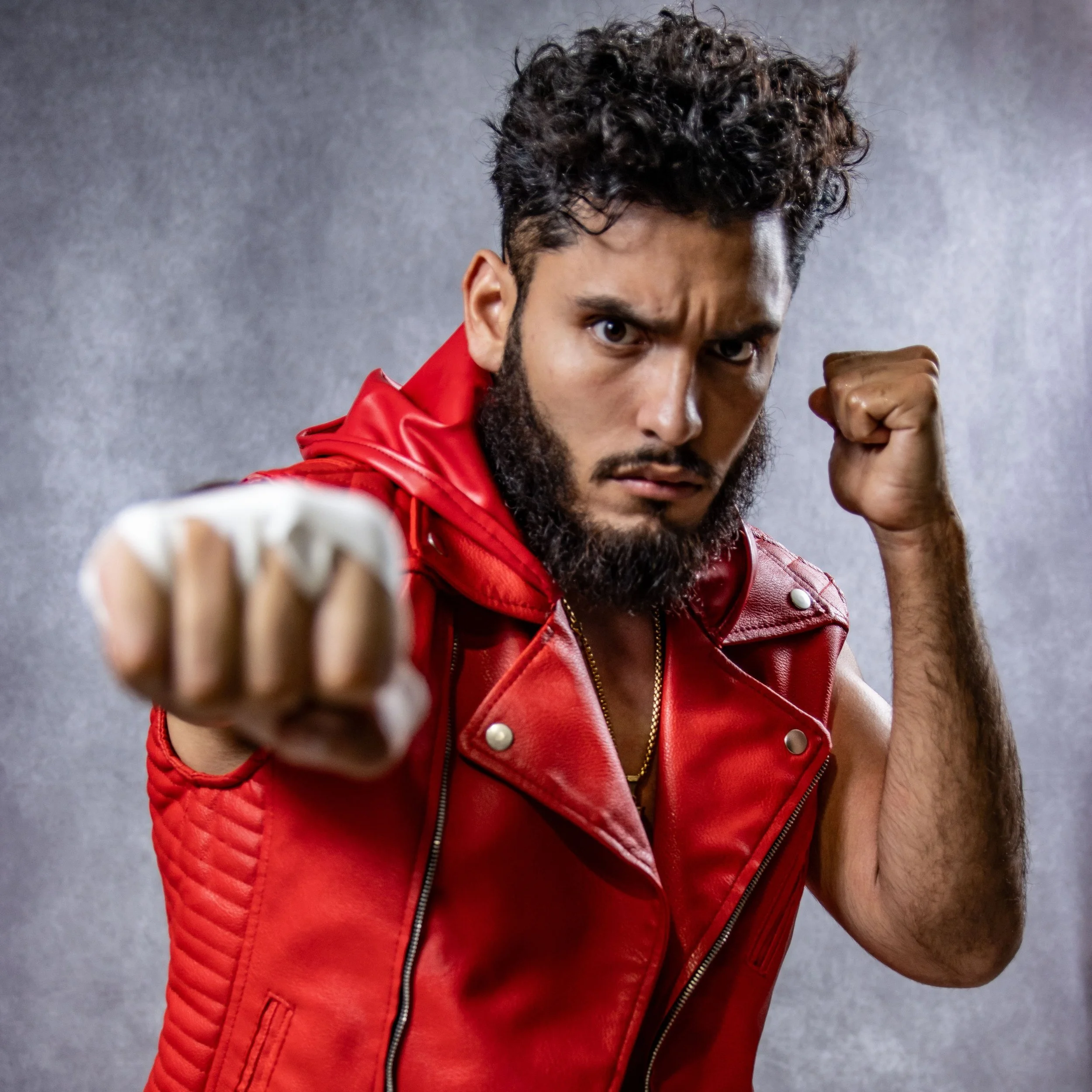 Professional Wrestling Portraits