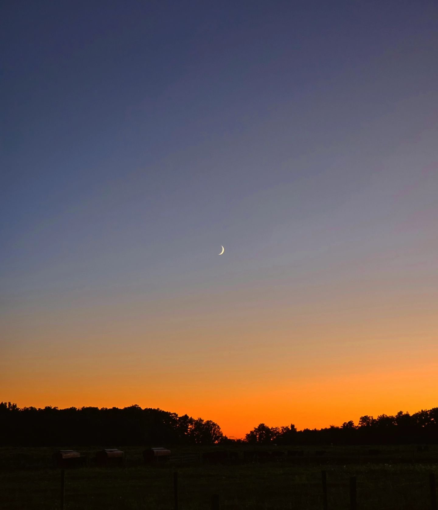 The perfect crescent moon over a beautiful sunset after a prenatal this evening. I never take for granted how much beauty I get to see. Whether it's spectacular sunsets or your toddler showing me their toys trucks, I am awstruck by how special this c