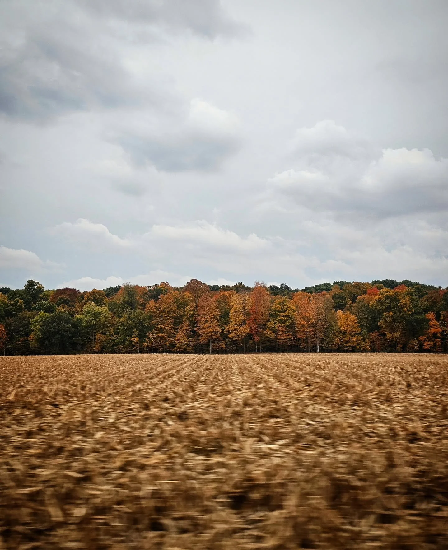 Home visits are so beautiful. I always prioritize meeting my clients in their homes for their prenatal appointments, because I believe I give you the best support when I truly know you in your space. Your home is where you relax and get comfortable. 