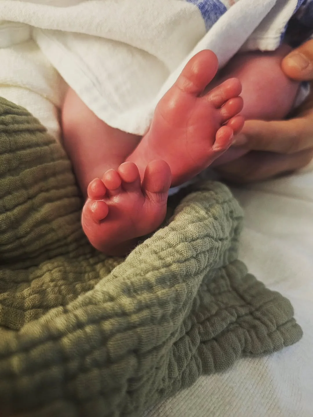 What an incredible joy to care for the mother of these little toes! She welcomed her baby in a beautiful waterbirth yesterday. I'm so thankful to have been a part of her dream team!

#doula #birth #childbirth #birthdoula #pregnant #pregnancy #postpar