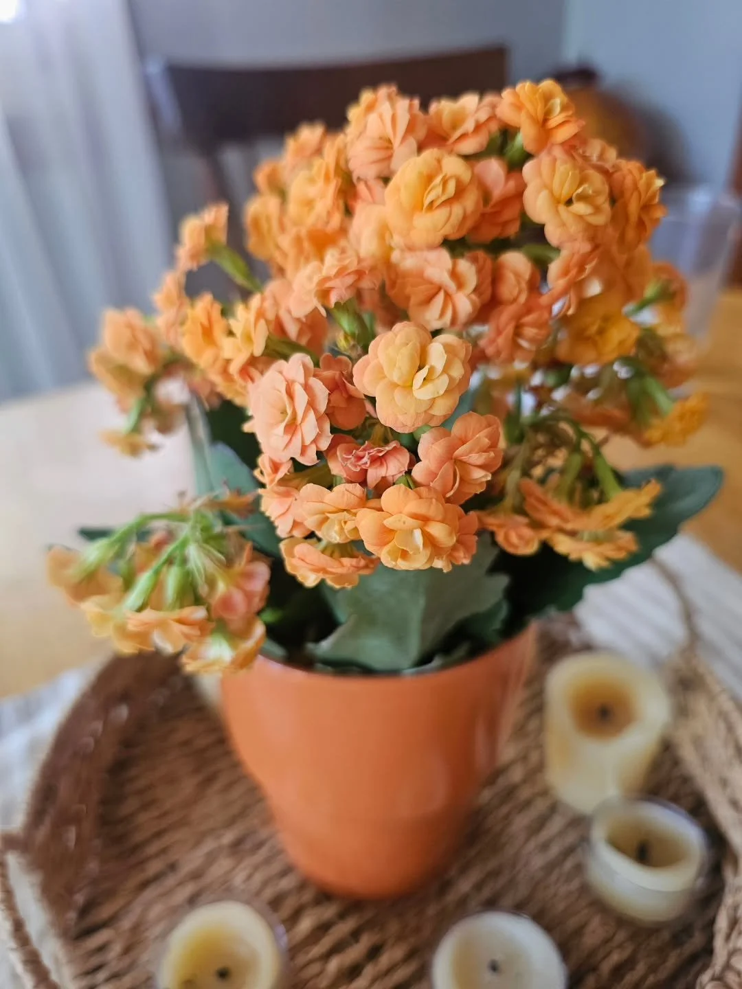 Running a service-based business has so many unseen costs, especially when you're sick or your kids are. This past week, I've rescheduled 4 client prenatals, which in practice sets my entire prenatal calender back by a month. I'm usually a power thro