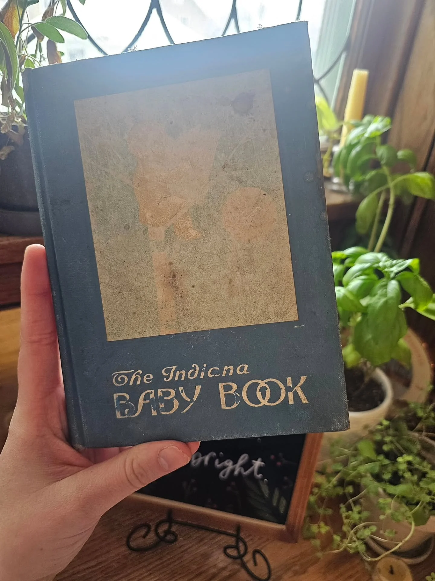 A good friend recently moved into an old farm house, and found this gem from 1919! This antique Baby Book from the Indiana Health Department is pretty interesting - it's right on the cusp of some of the biggest changes to birth culture in the United 
