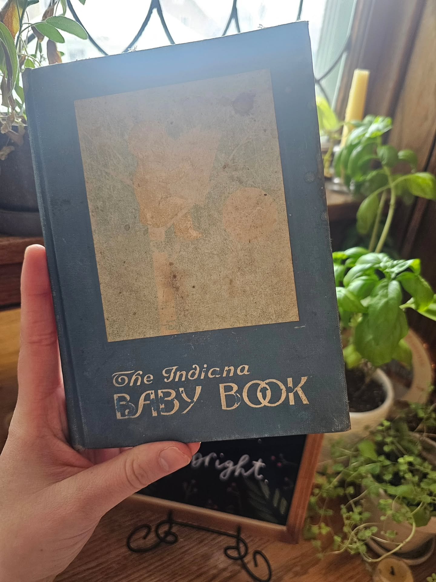 A good friend recently moved into an old farm house, and found this gem from 1919! This antique Baby Book from the Indiana Health Department is pretty interesting - it's right on the cusp of some of the biggest changes to birth culture in the United 