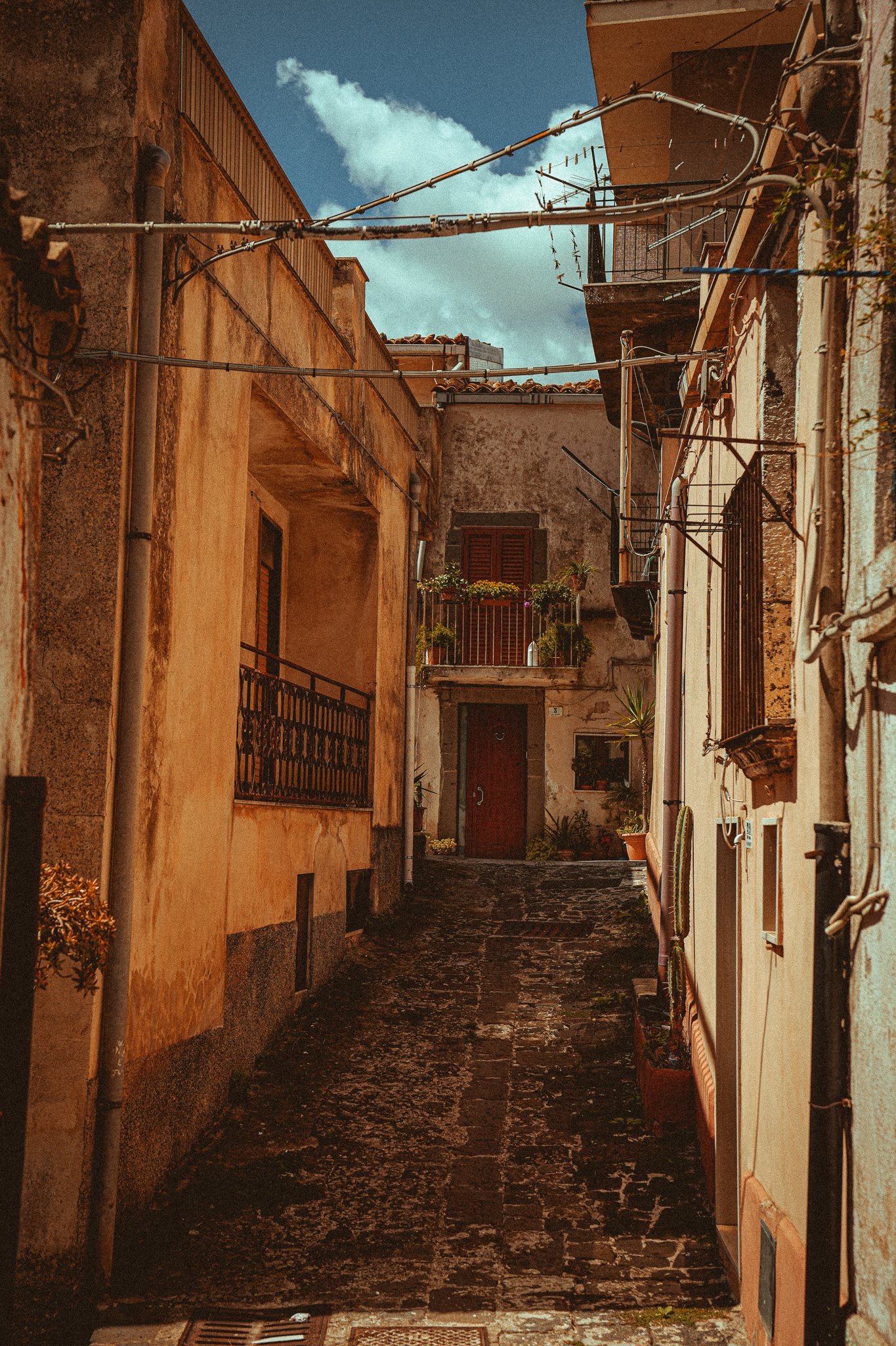 Website - Travel-8.jpg