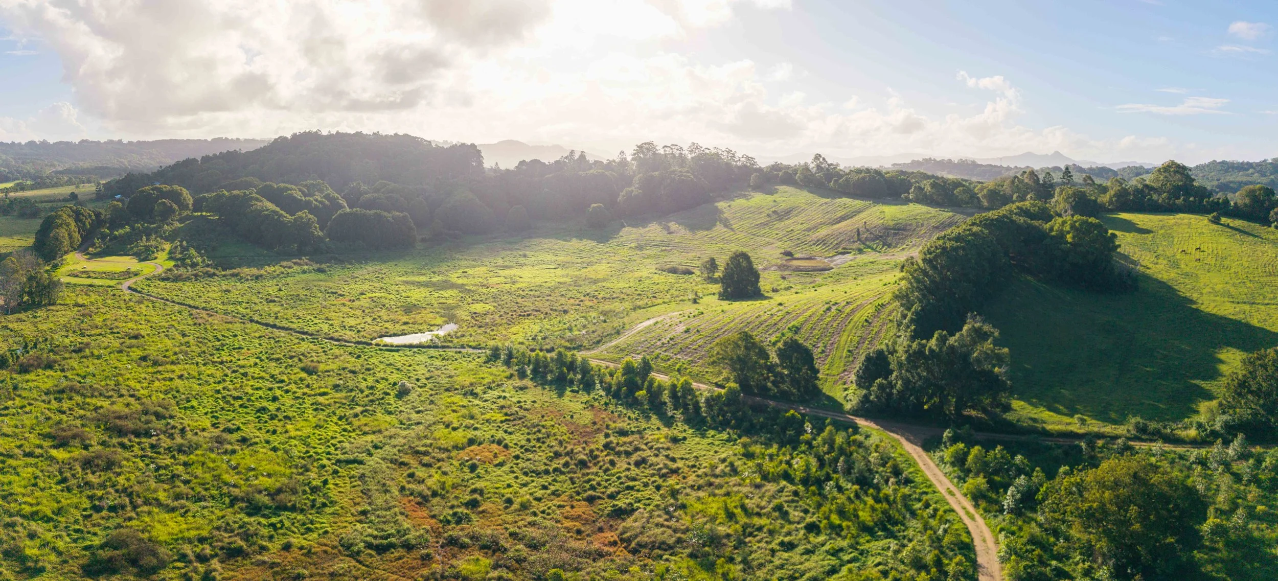 DJI_20260504152005_0209_D-Pano.jpg