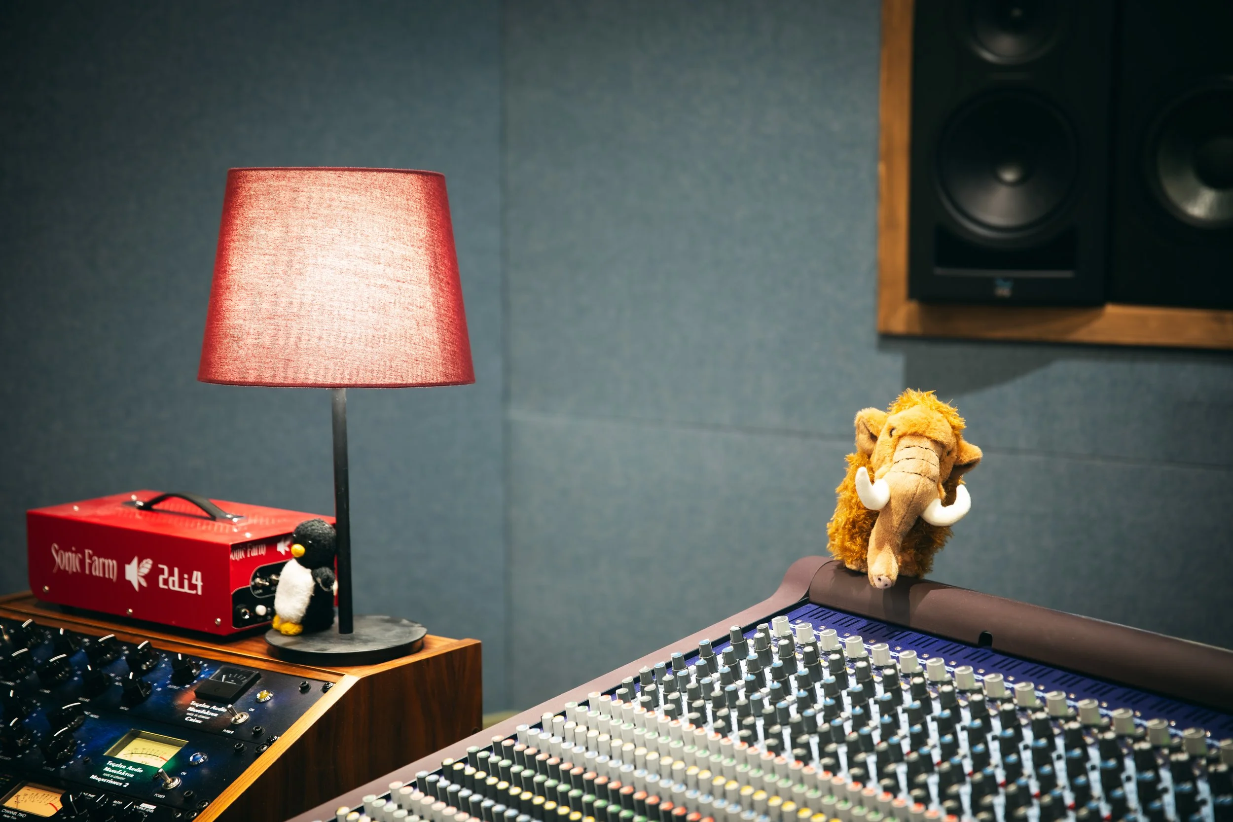 Fuzzy Elephant Photography - Studio GV's-CL-40.jpg