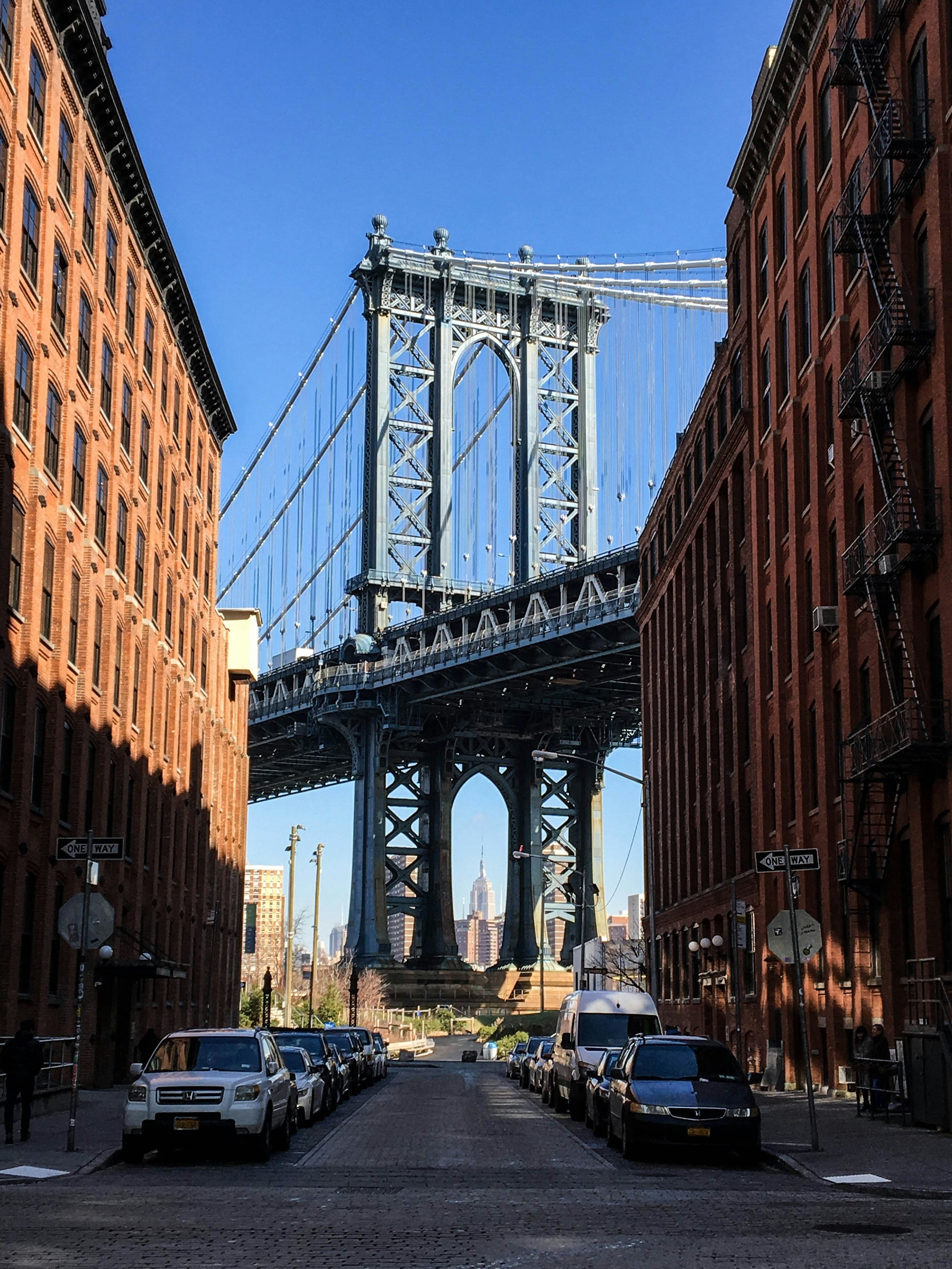 jorge-gardner-dumbo.jpg