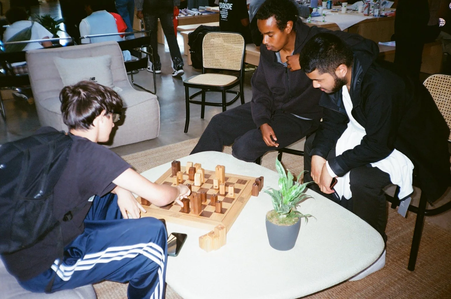 003366500025.jpg