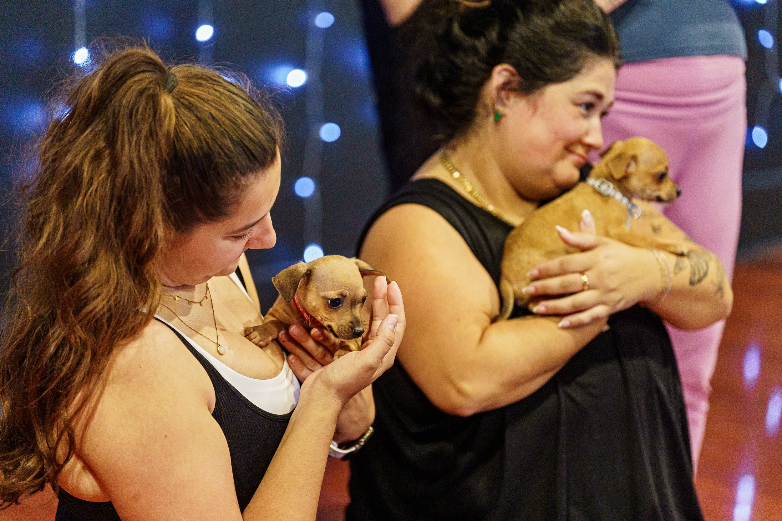 Puppy Yoga Benefitting Altruistic Dog Rescue