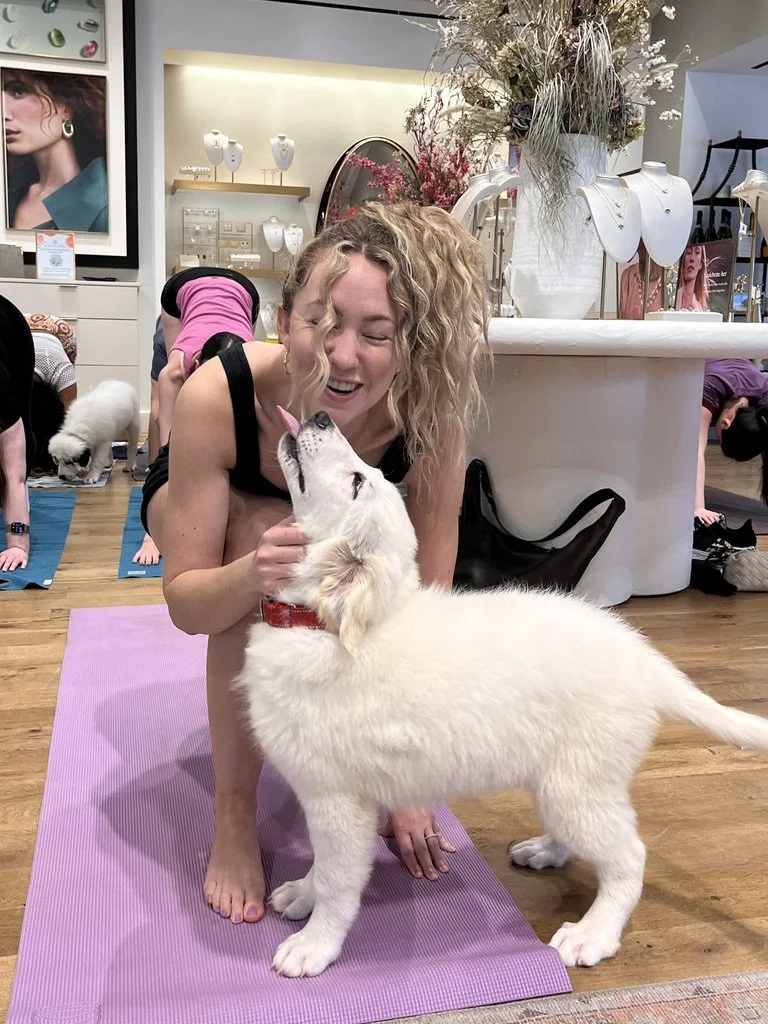 Puppy Yoga Benefitting Altruistic Dog Rescue