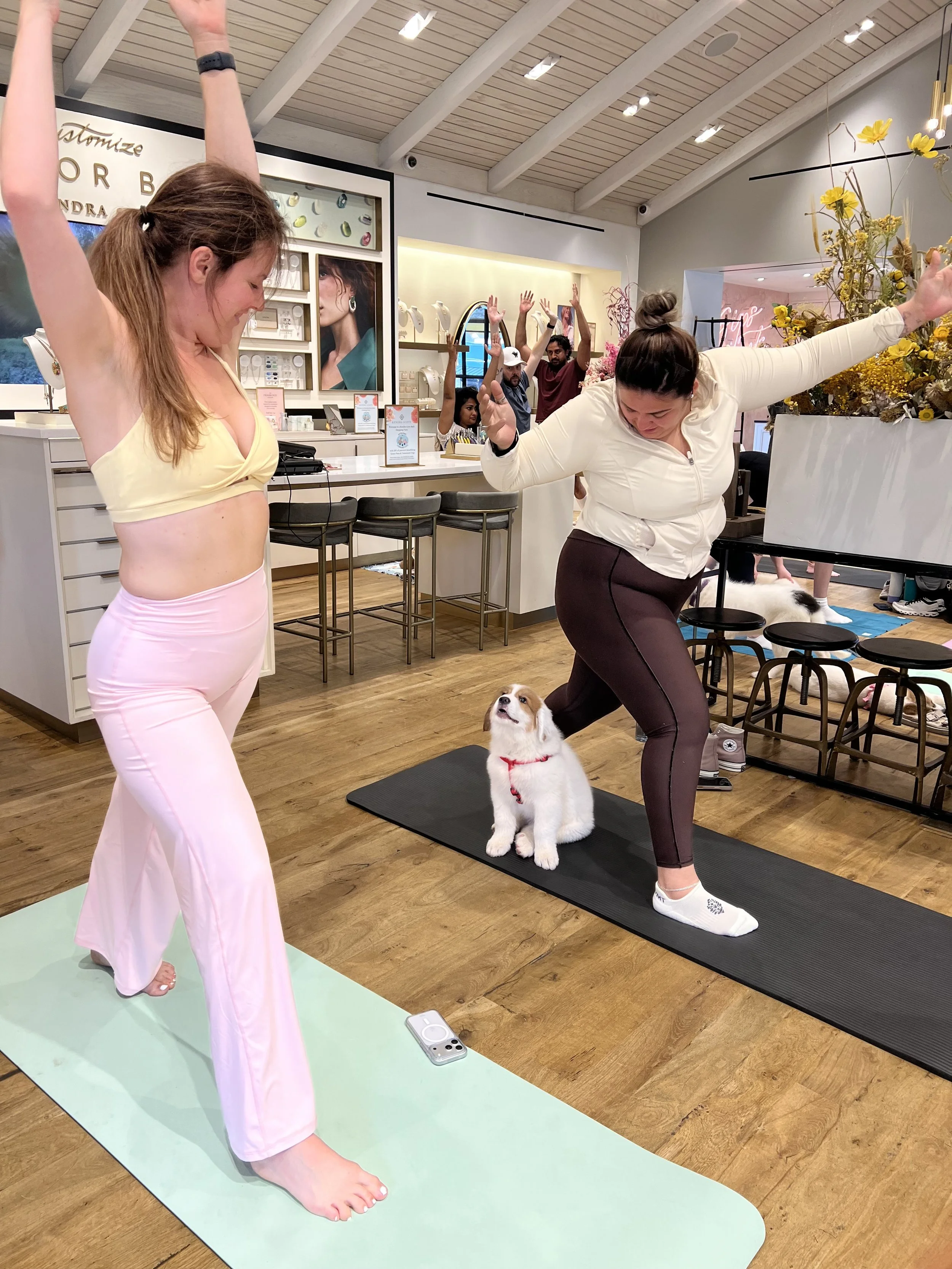 Puppy Yoga Benefitting Heart of Texas Lab Rescue