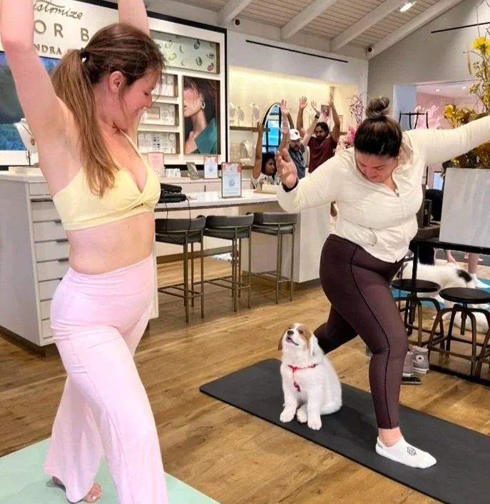 Two women practicing yoga with a rescue puppy on the mat in a bright studio