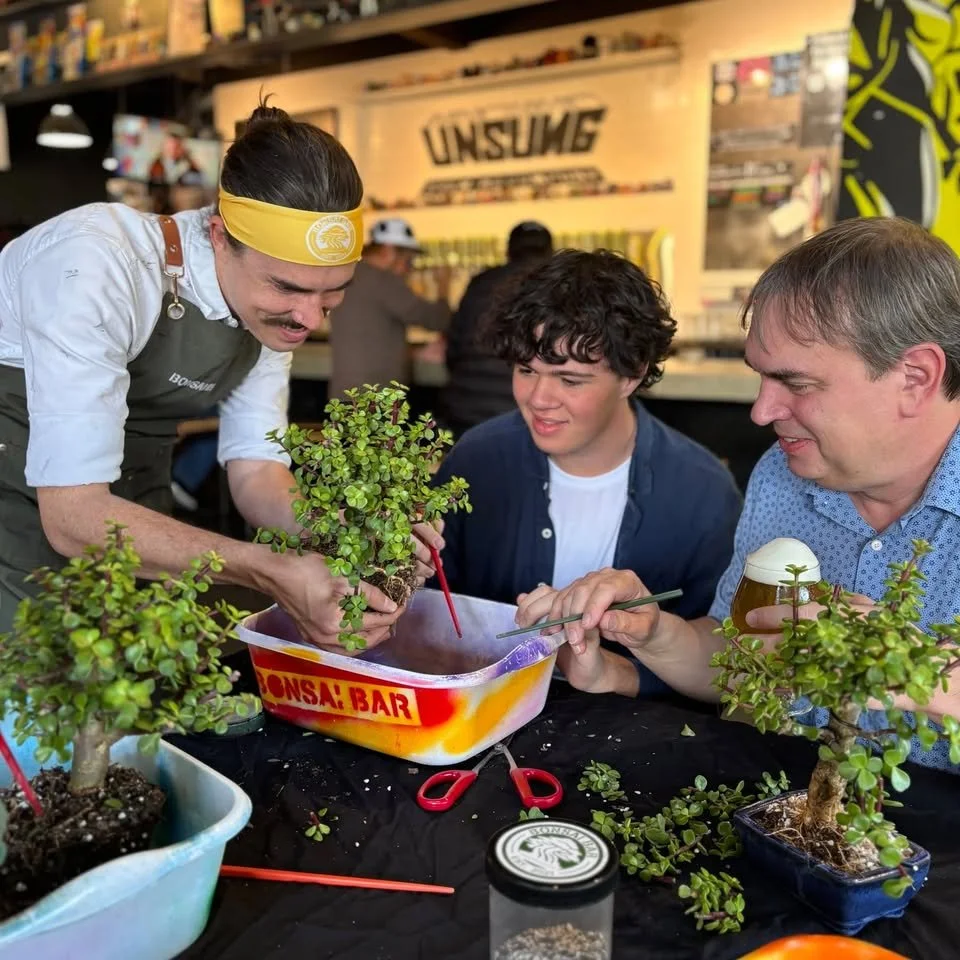 Bonsai Bar