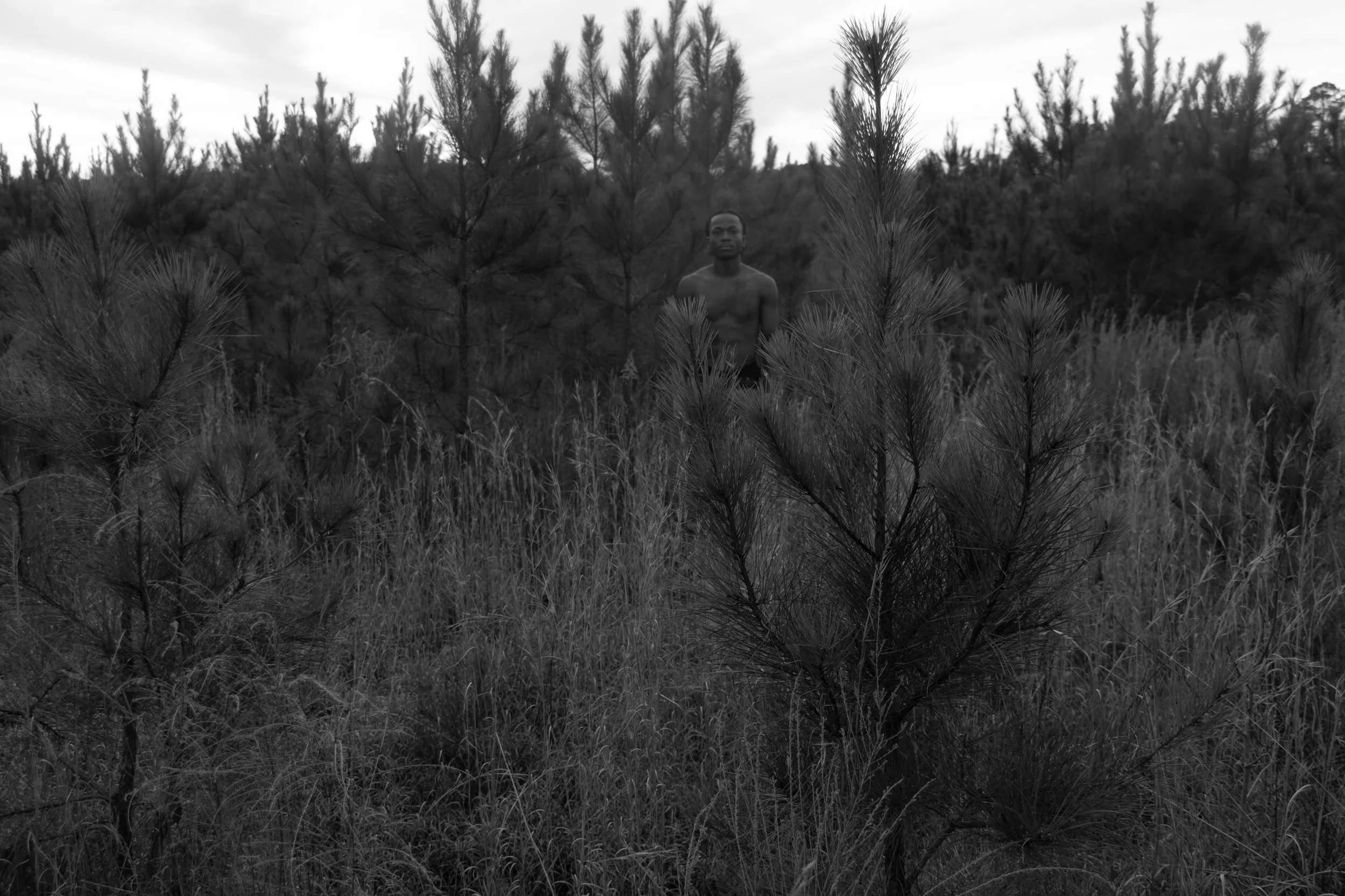 IMG_0079 copy.JPG