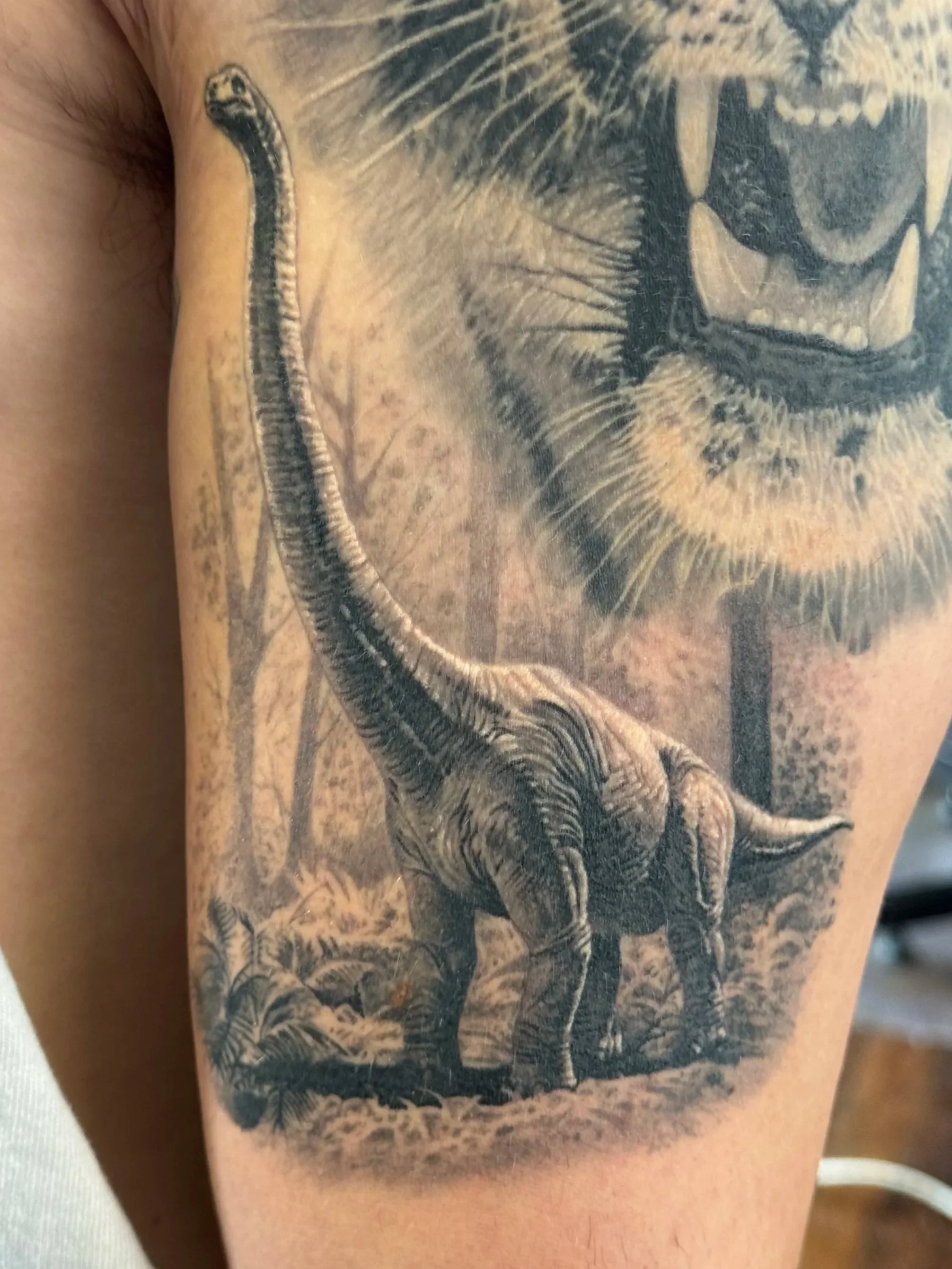 Brachiosaurus - healed.