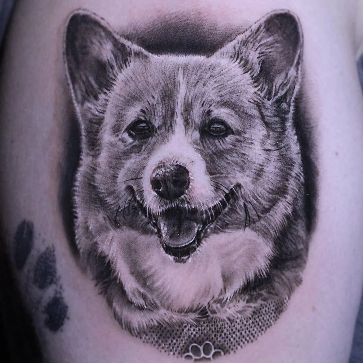 Memorial portrait of a cute corgi.