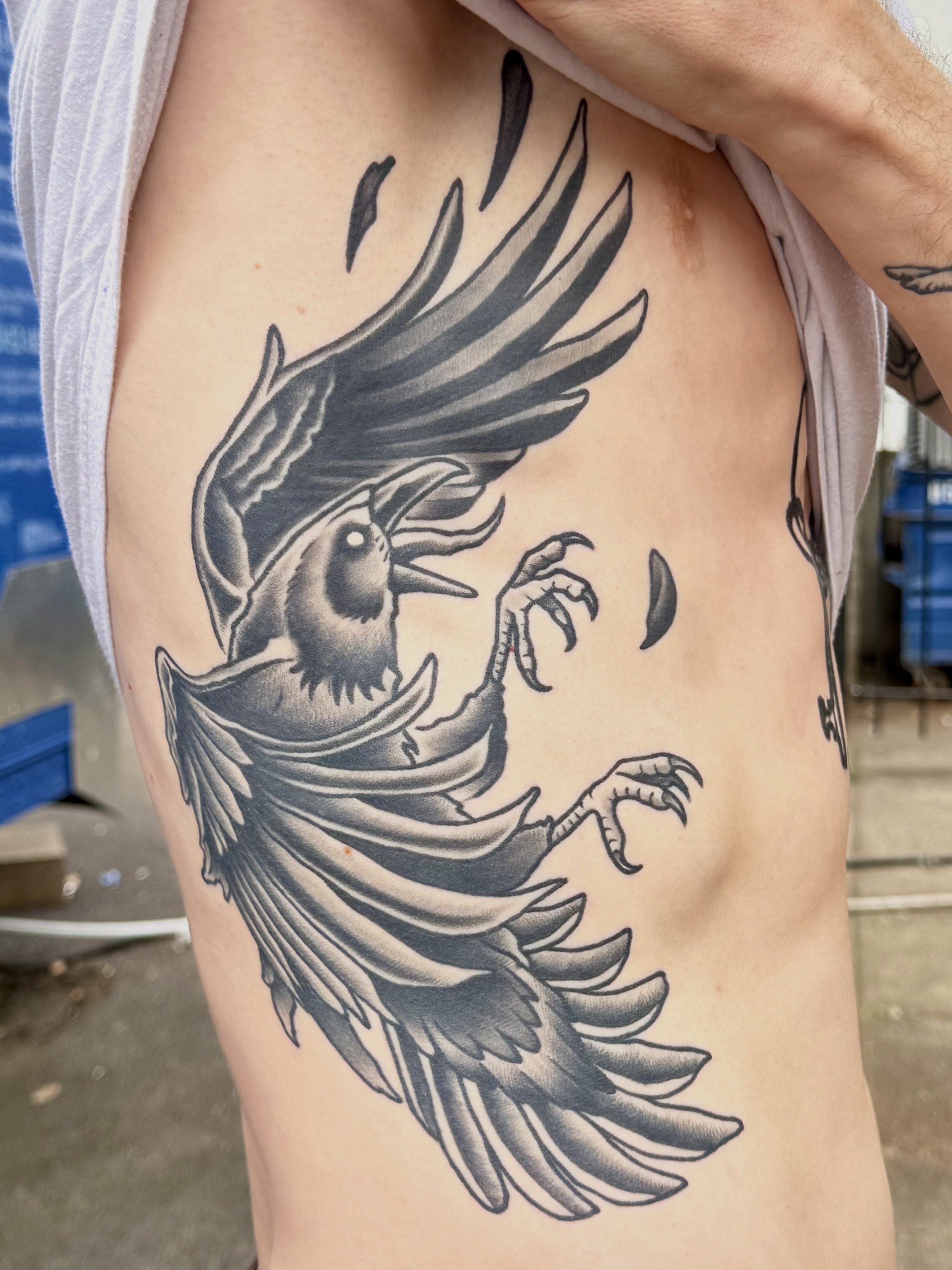 Falling crow - healed.