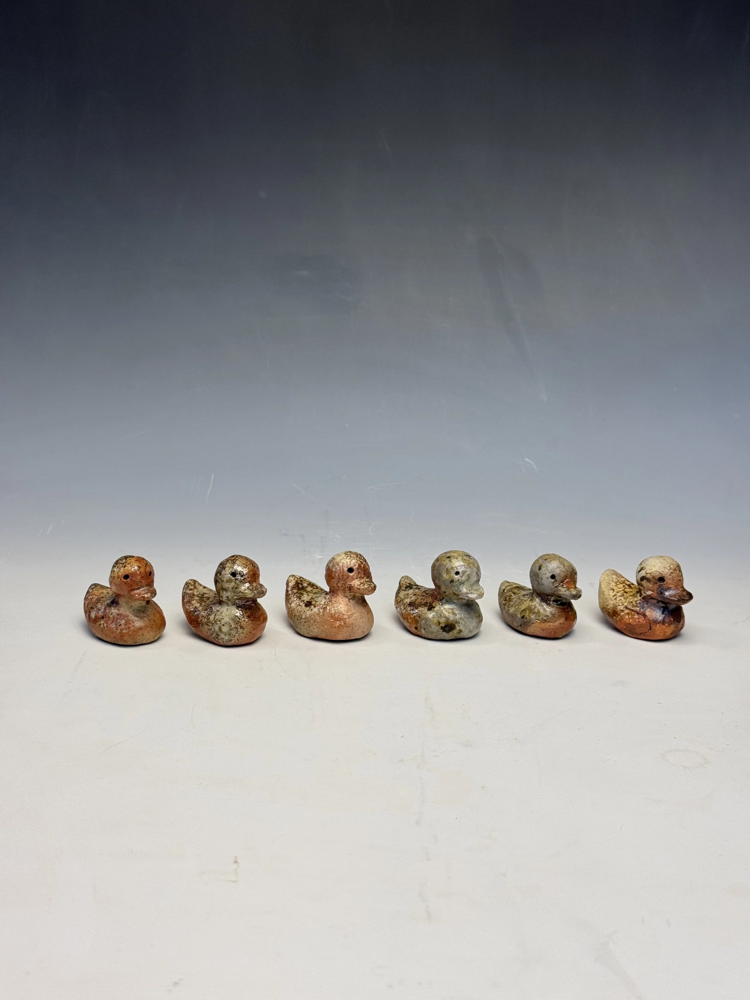 Ducks 1.JPG