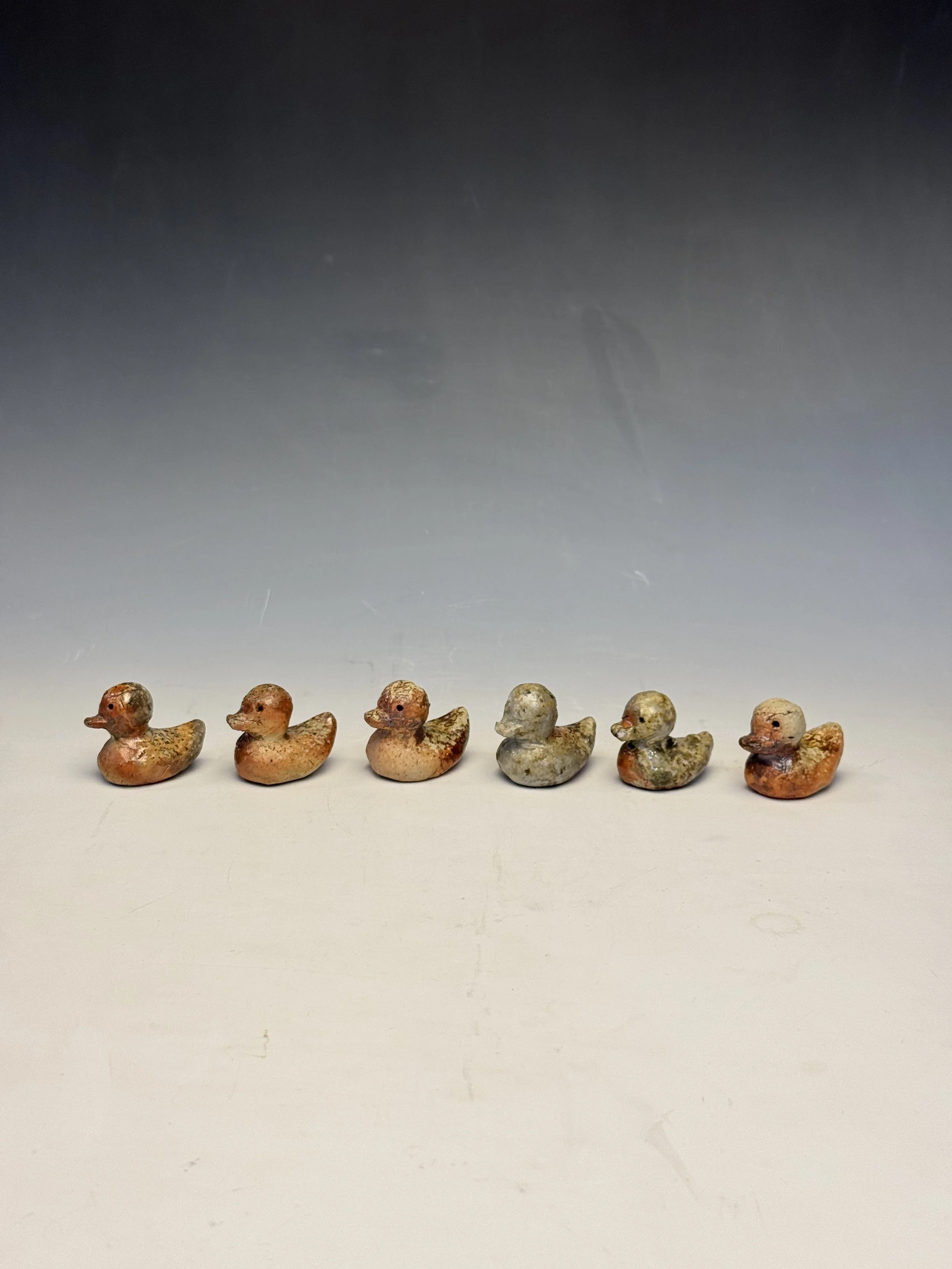 Ducks 2.JPG