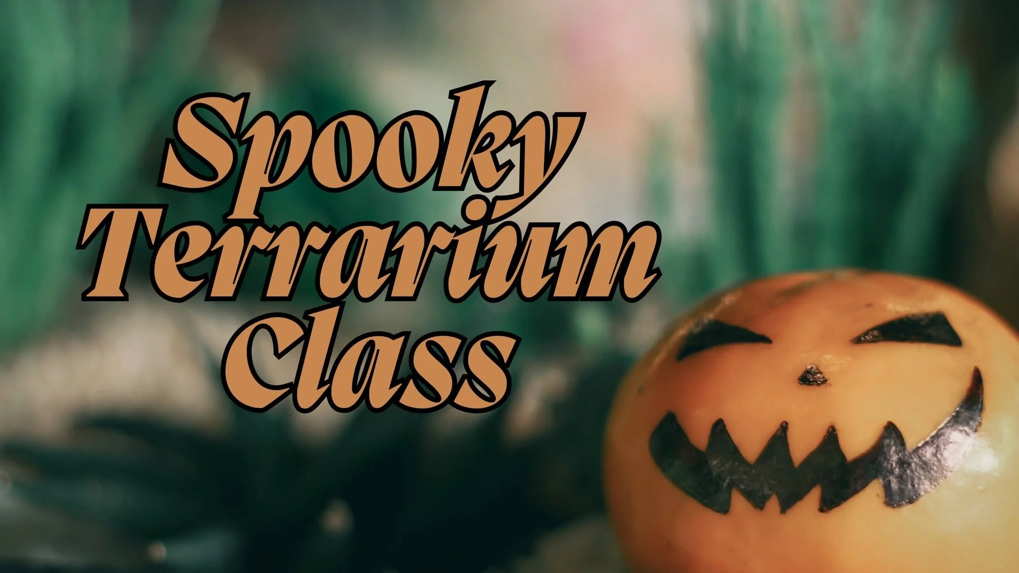 Spooky Terrarium Class with Ashton Ferns