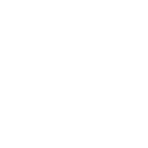 Logo for Zay Springer Real Estate featuring a stylized house outline with a chimney