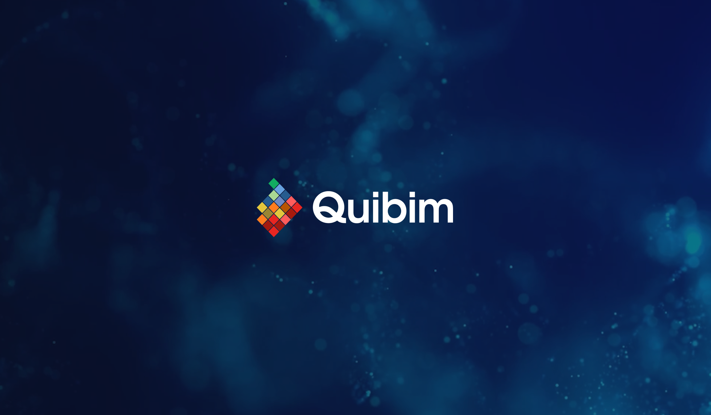 A global leader in whole-body automated medical imaging analysis