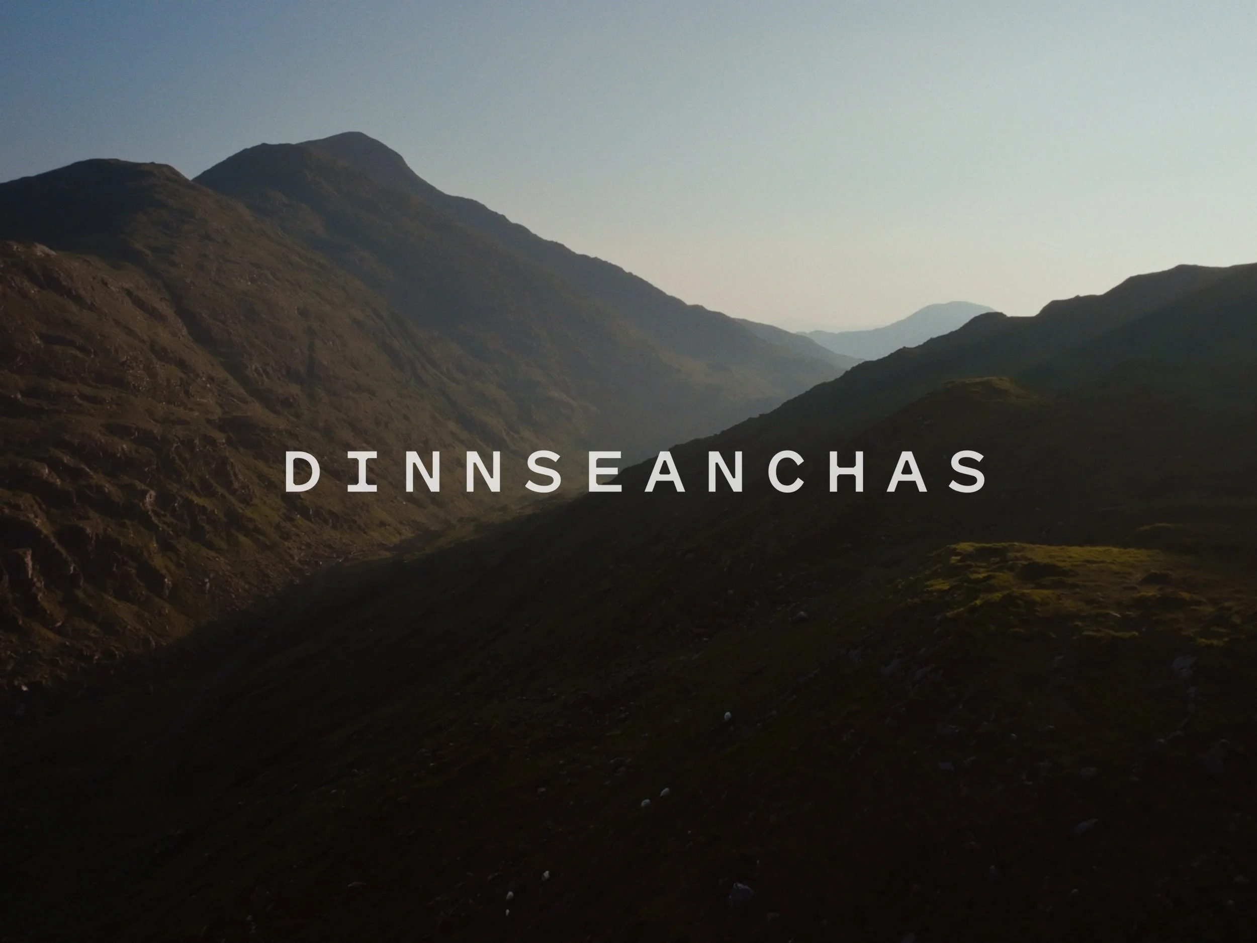 'A Dive into Hometree Charity’s Dinnseanchas Project'