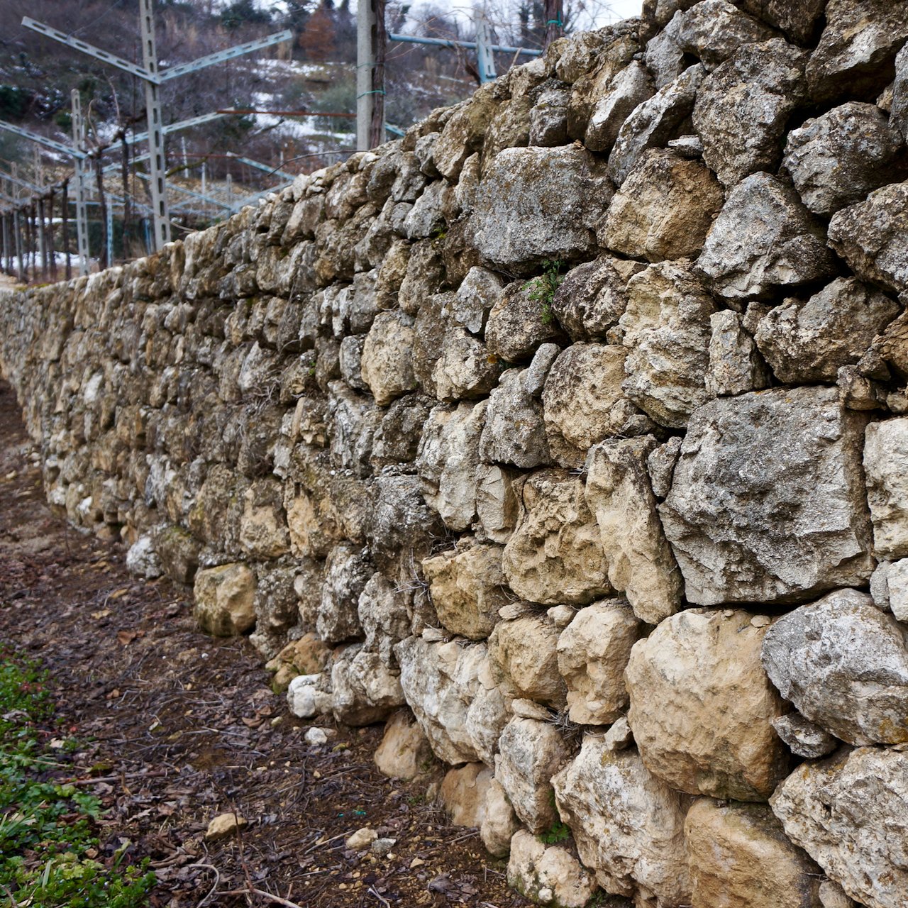 Stone walls (Copy)
