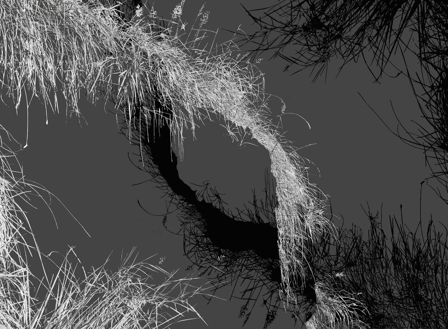 event horizon