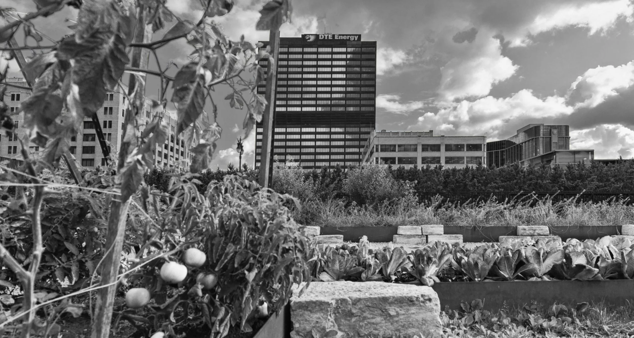 urban farm