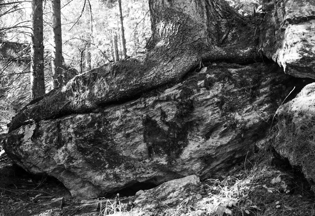 footprint