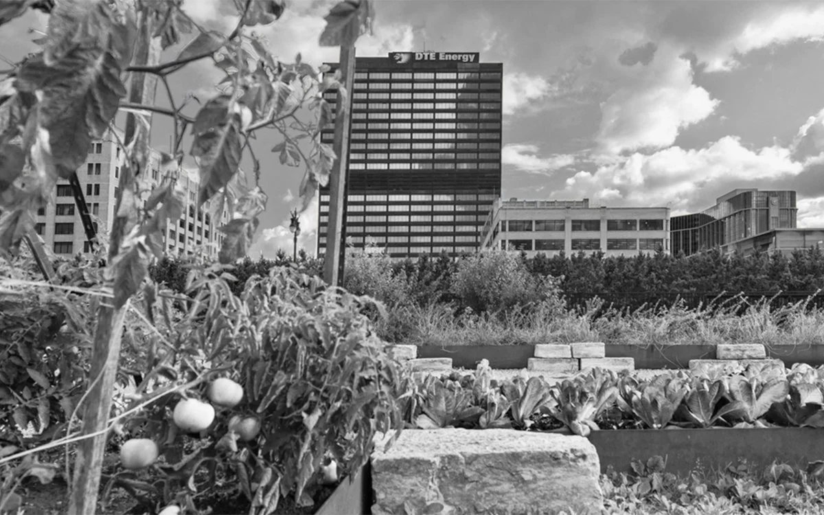 urban farm