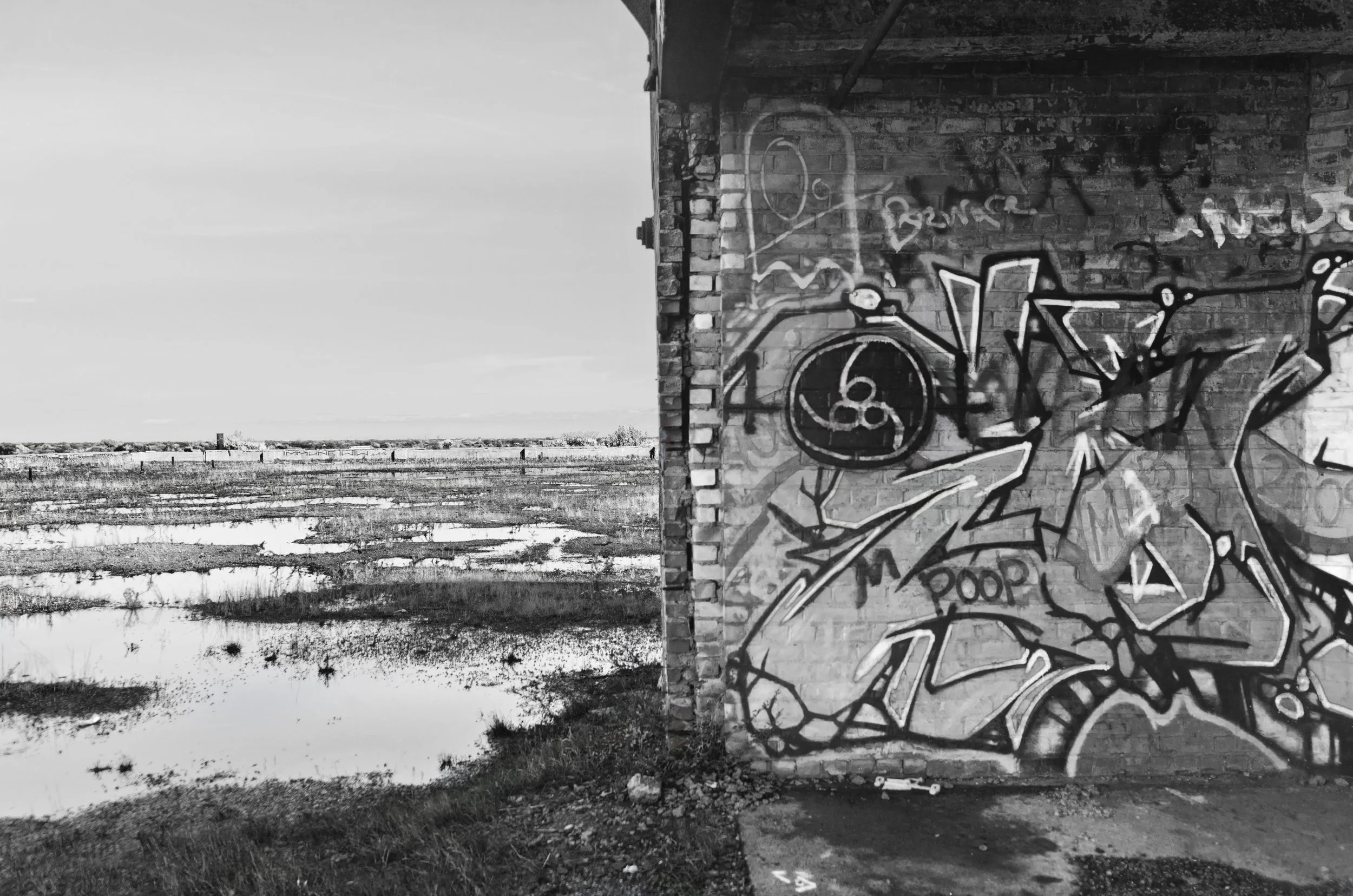Packard Plant roof graffiti